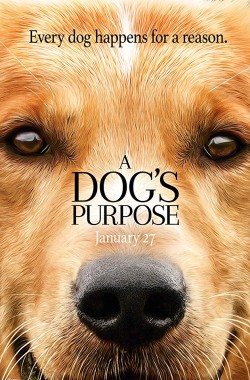 A Dogs Purpose (2017 - Christian)